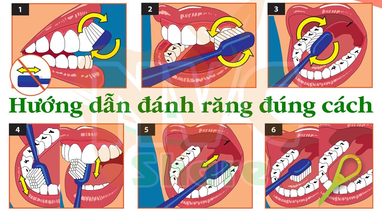 Nguyễn Uyên – Trang 9 – Bệnh Viện Đa Khoa Tỉnh Lào Cai